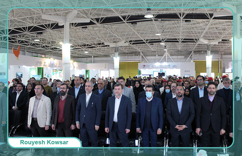 رویداد نمایشگاهی مسئله محور