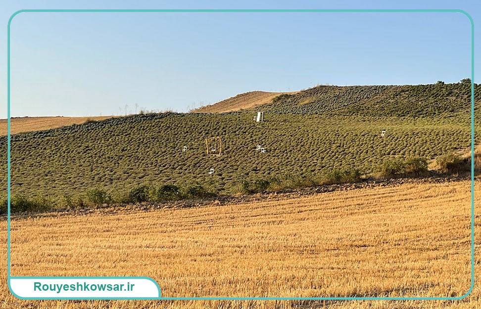 گزارش تصویری سفر تیم توابن موسسه رویش کوثر به استان گلستان