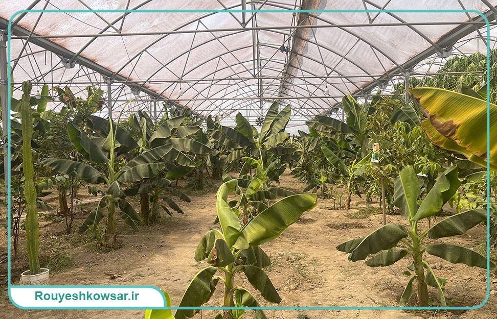 گزارش تصویری سفر تیم توابن موسسه رویش کوثر به استان گلستان