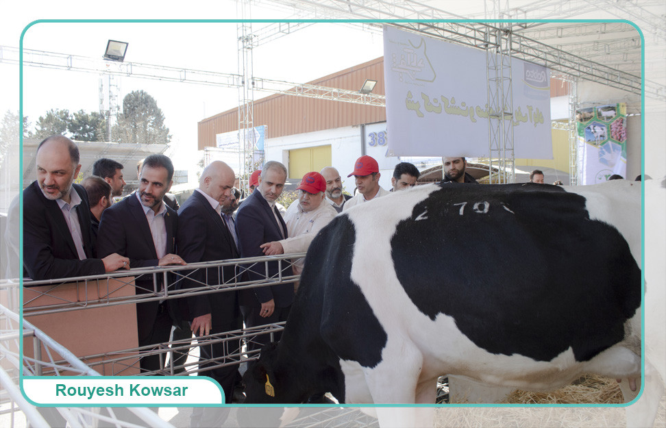 رویداد نمایشگاهی مسئله محور