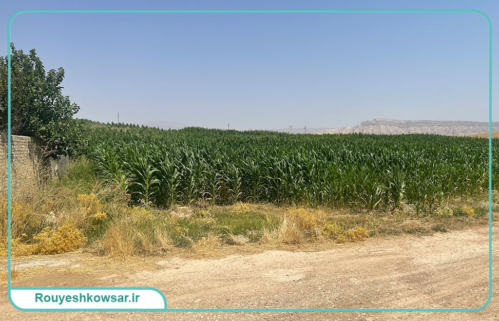 گزارش تصویری تیم توانمندسازی و مهارت‌افزایی کوثر به استان لرستان