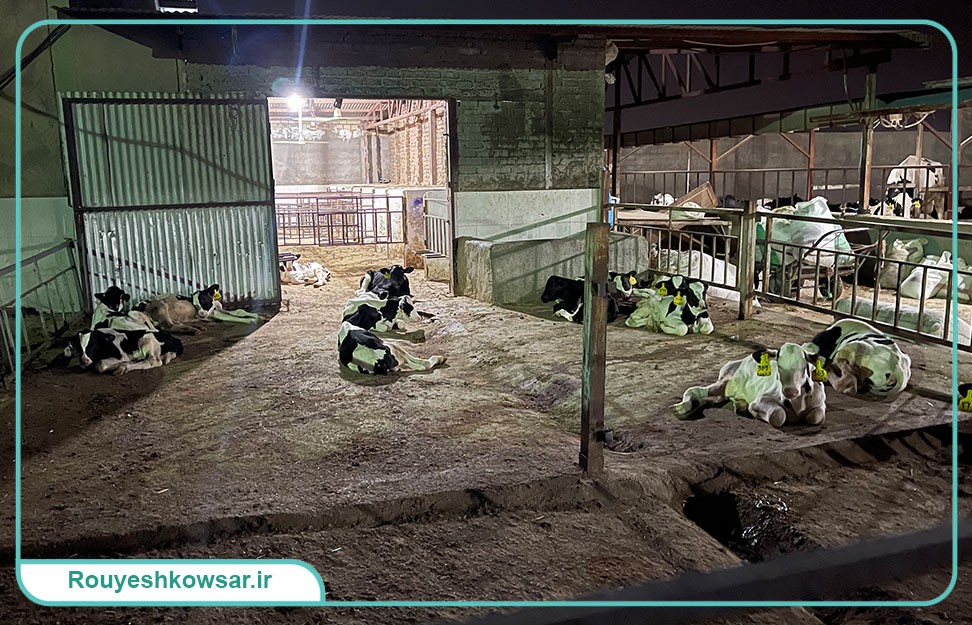 گزارش تصویری تیم توانمندسازی و مهارت‌افزایی کوثر به استان لرستان