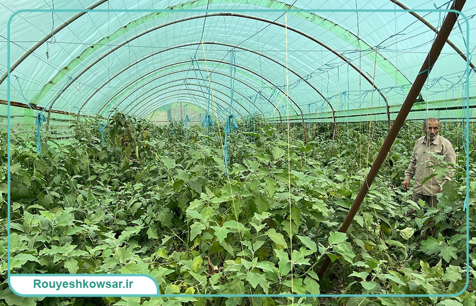 گزارش تصویری دومین سفر تیم توانمندسازی کوثر به استان‌های مازندران و گلستان